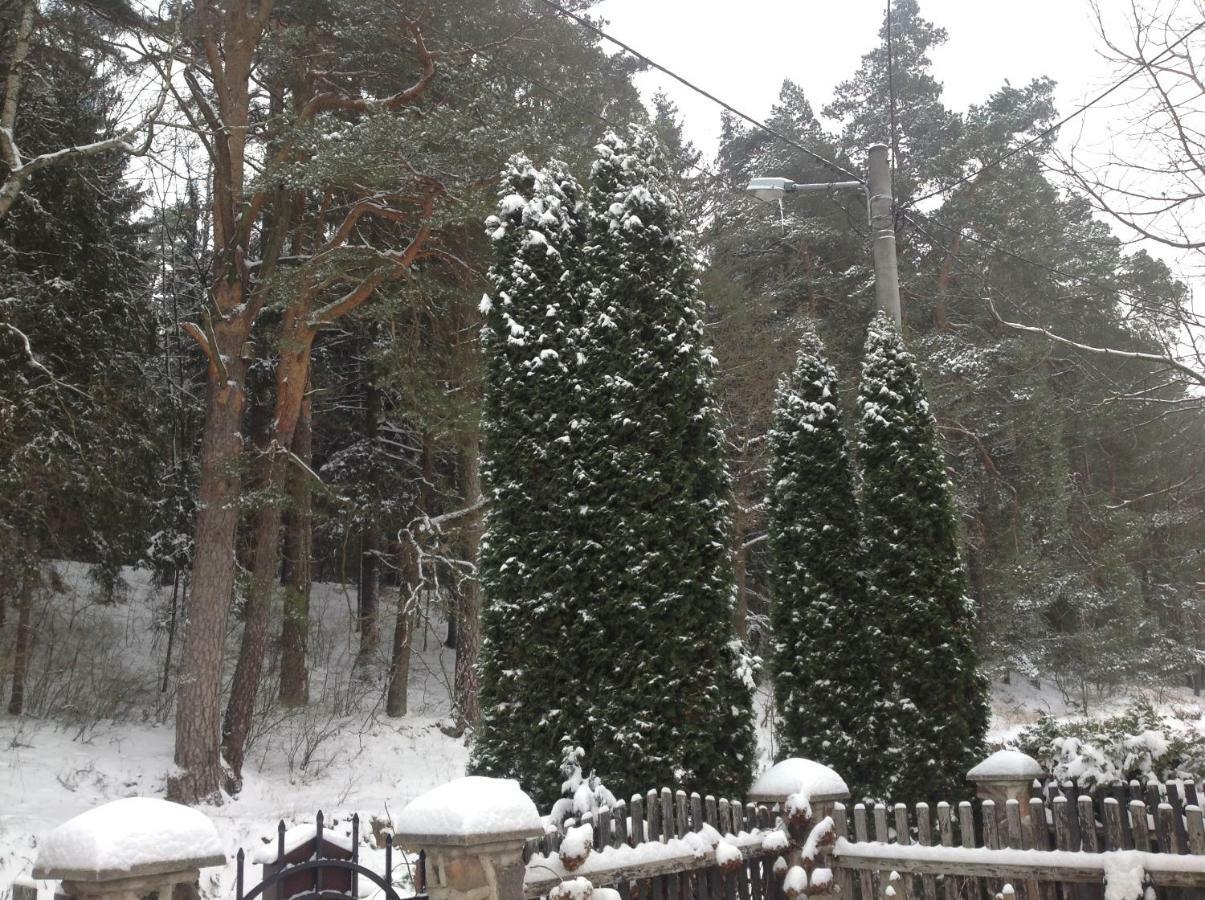 Noclegi Pod Borkiem Szypliszki Exteriér fotografie
